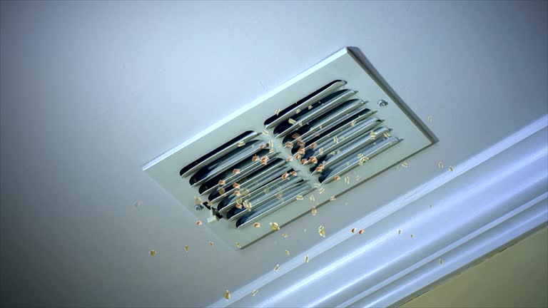 Best Affordable Duct Cleaning Services  in South Rosemary, NC