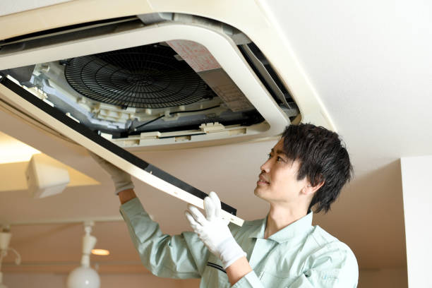 Best Ductwork Cleaning Services  in South Rosemary, NC